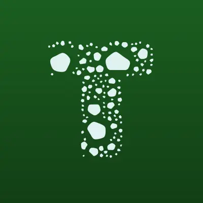 T2